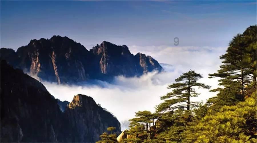 植物大战僵尸16